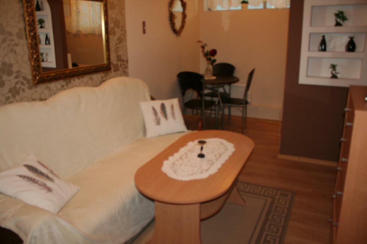 Apartament Manhattan W Olsztynie 奥尔什丁 外观 照片